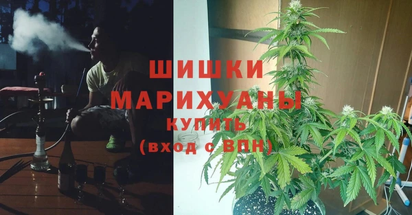 шишки Волосово