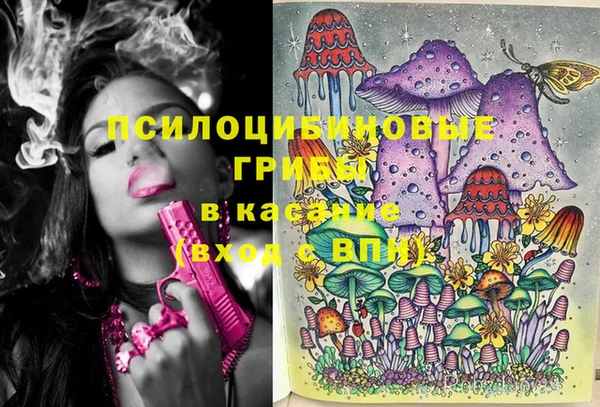 шишки Волосово