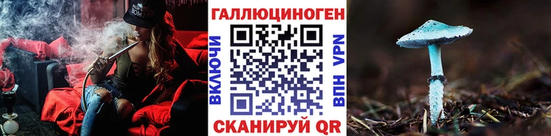 купить  цена  Владикавказ  Псилоцибиновые грибы GOLDEN TEACHER 